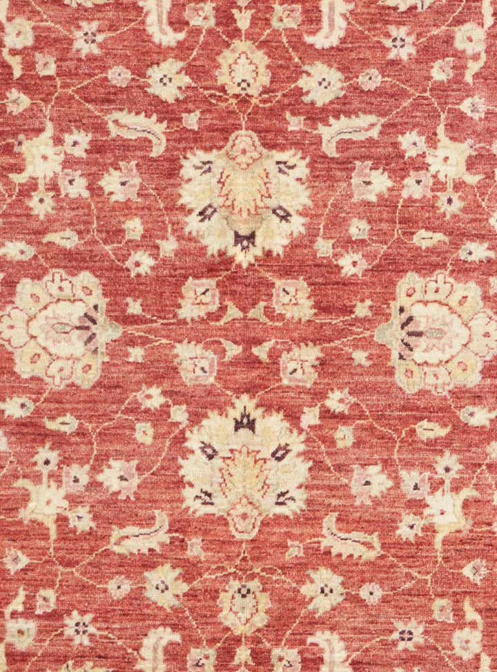 5' 6 x 8' 2 Hand Knotted Ziegler Rug