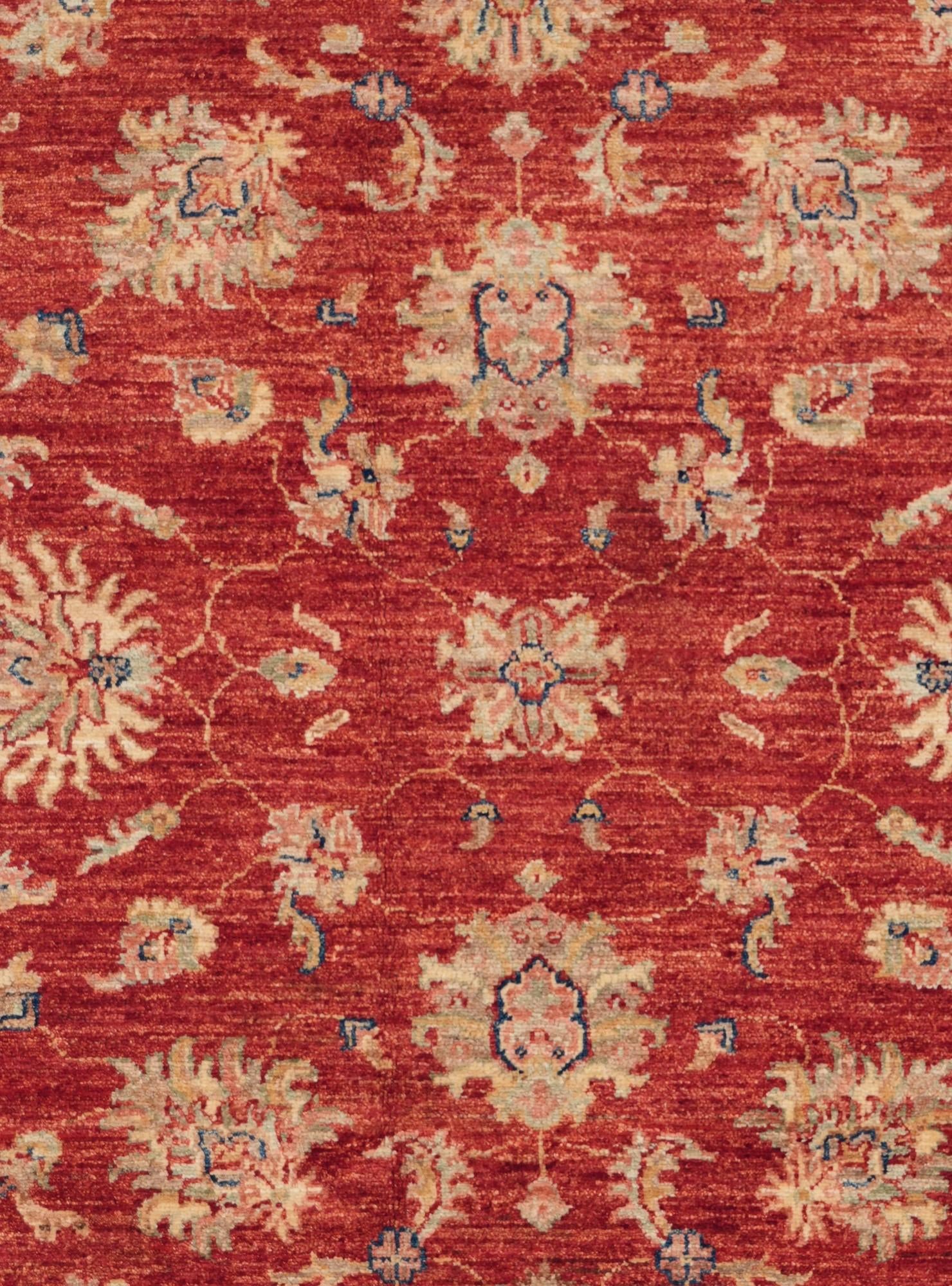4' 11 x 6' 1 Hand Knotted Ziegler Rug