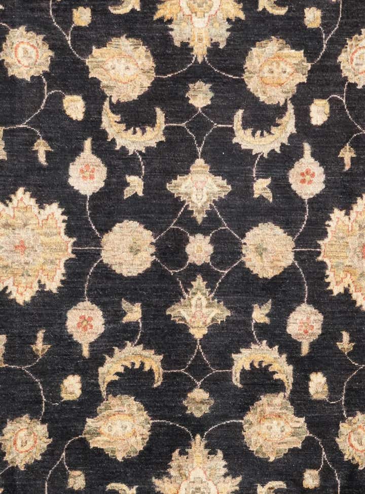 6' 2 x 9' 9 Hand Knotted Ziegler Rug