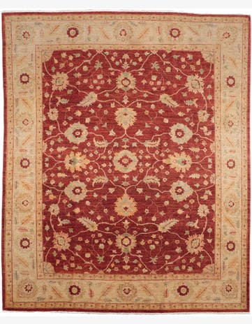 7' 11 x 9' 9 Hand Knotted Ziegler Rug