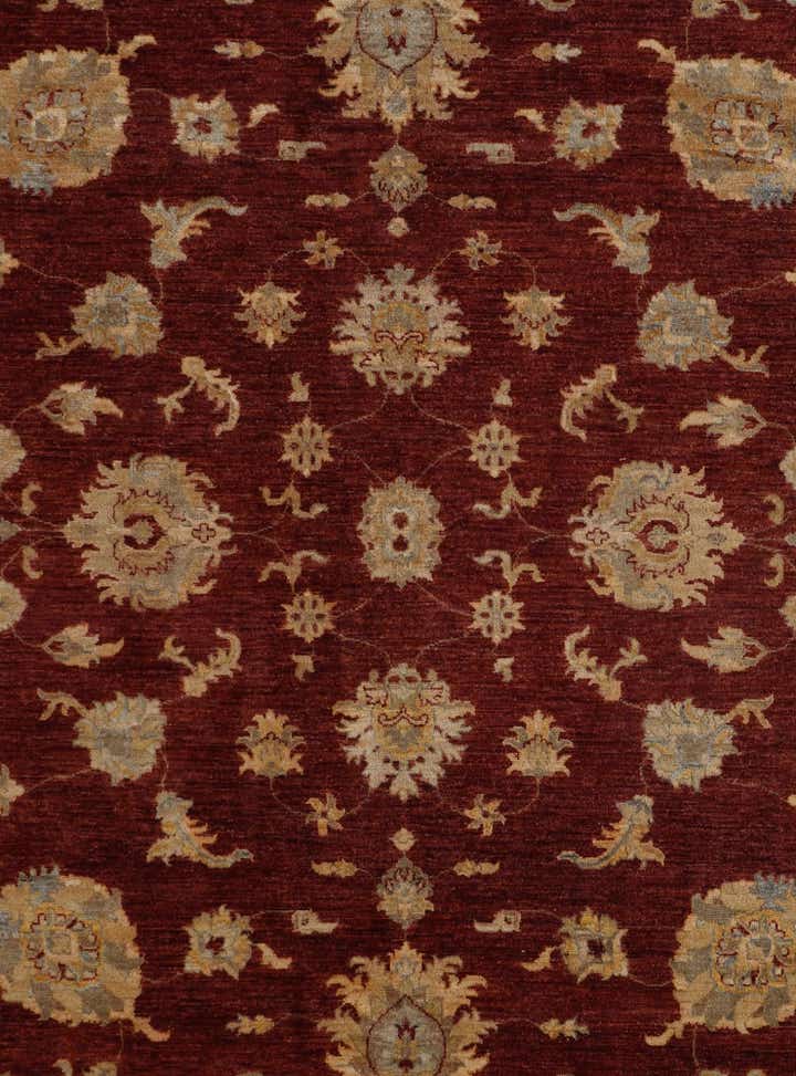 9' 3 x 11' 11 Hand Knotted Ziegler Rug
