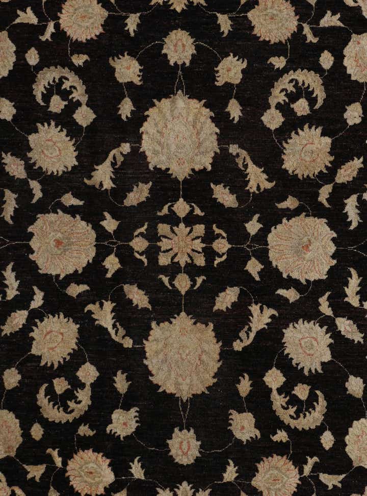 8' 11 x 12' 9 Hand Knotted Ziegler Rug