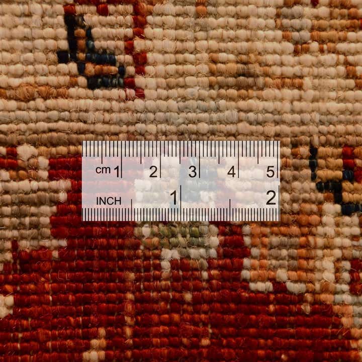 3' 1 x 4' 9 Hand Knotted Ziegler Rug