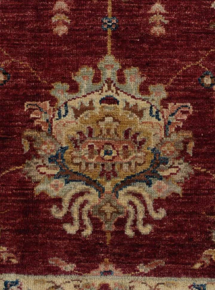 3' 1 x 4' 9 Hand Knotted Ziegler Rug