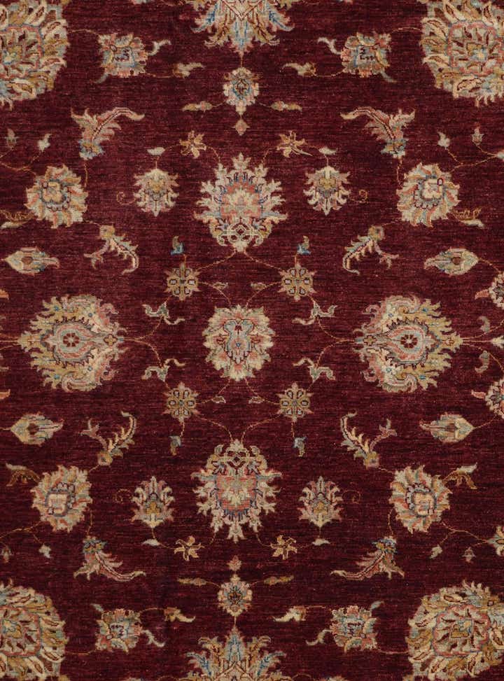 8' 5 x 11' 7 Hand Knotted Ziegler Rug