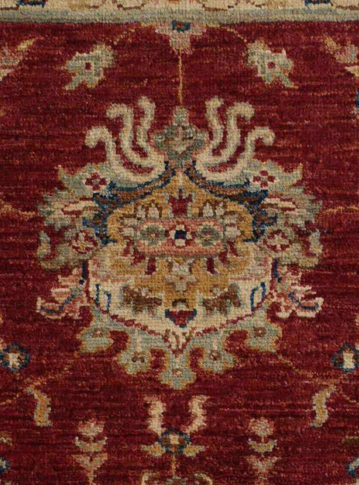 3' 1 x 4' 9 Hand Knotted Ziegler Rug