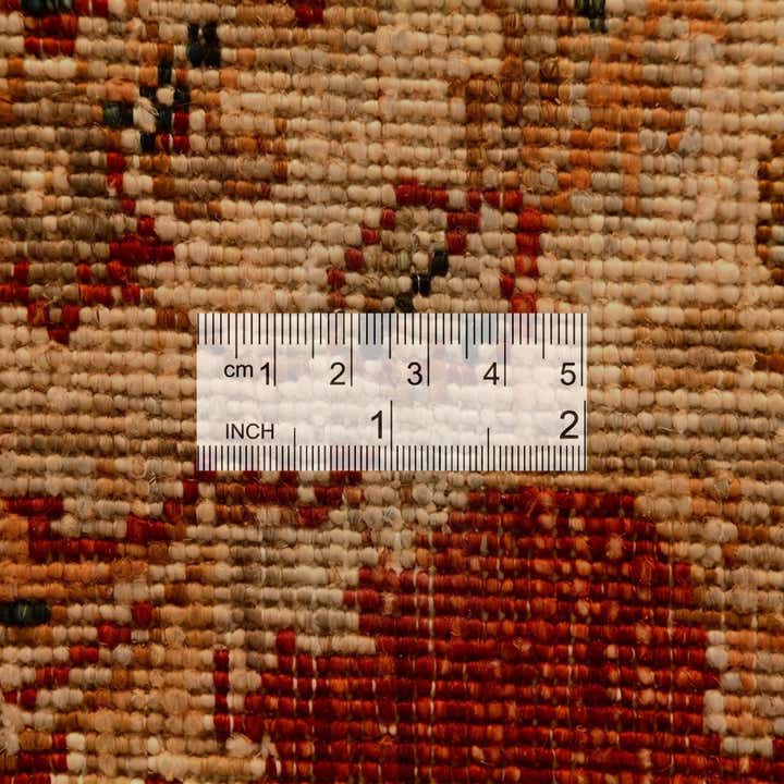 3' 1 x 4' 11 Hand Knotted Ziegler Rug