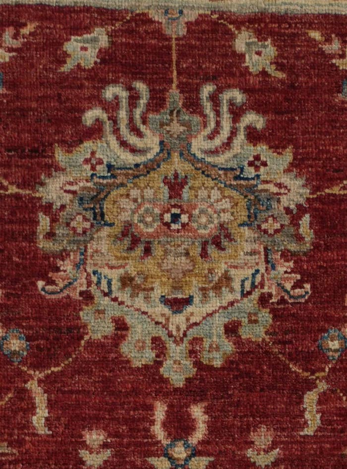 Detail image of 3' 1 x 5' Hand Knotted Ziegler Rug