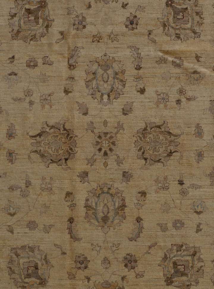 8' 8 x 11' 6 Hand Knotted Ziegler Rug
