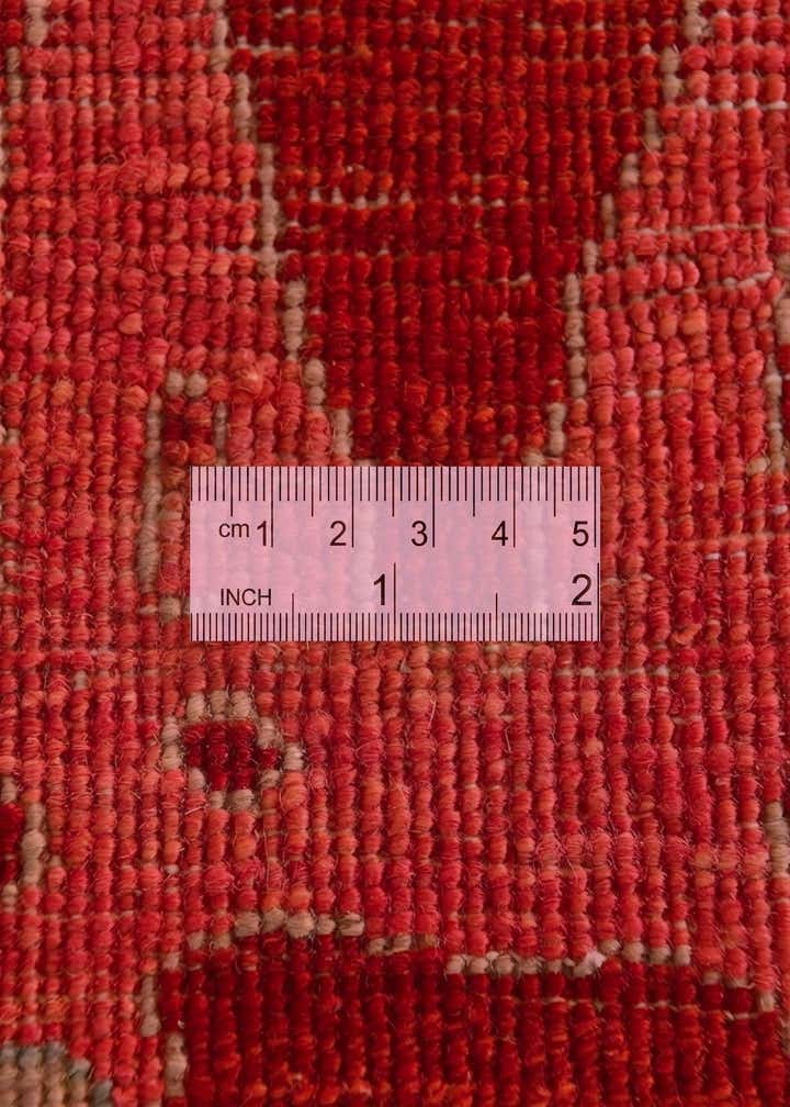 4' x 5' 11 Hand Knotted Ziegler Rug