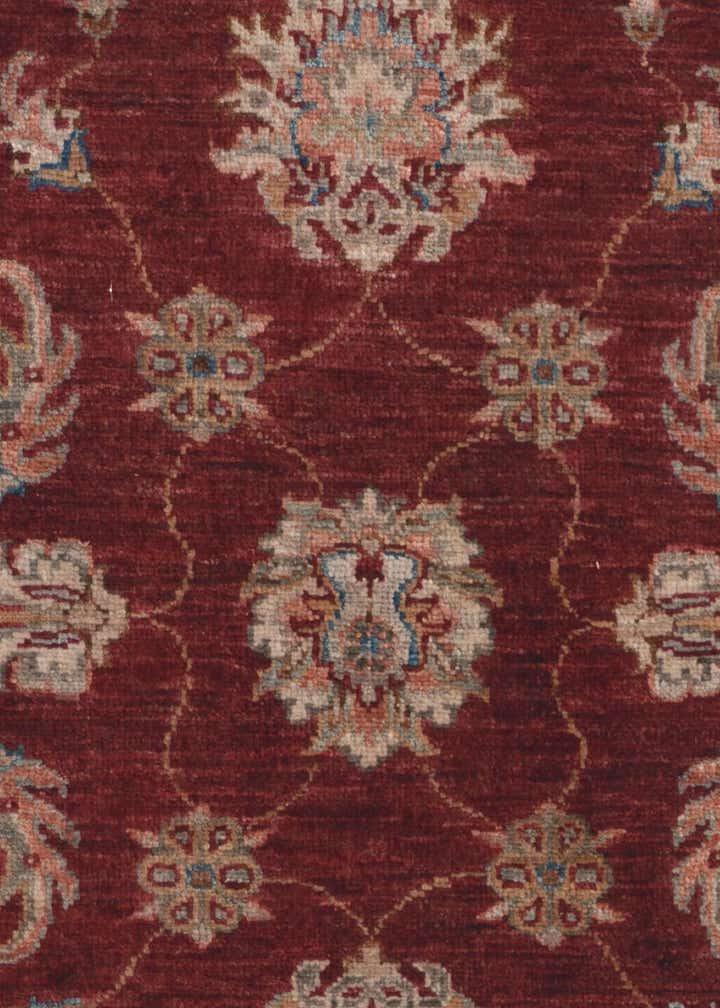 2' 10 x 6' 8 Hand Knotted Ariana Ziegler Runner Rug