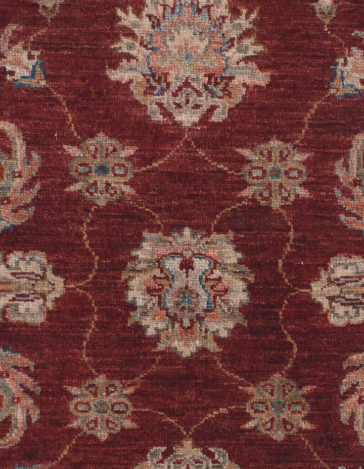 Detail image of 2' 10 x 6' 8 Hand Knotted Ariana Ziegler Runner Rug