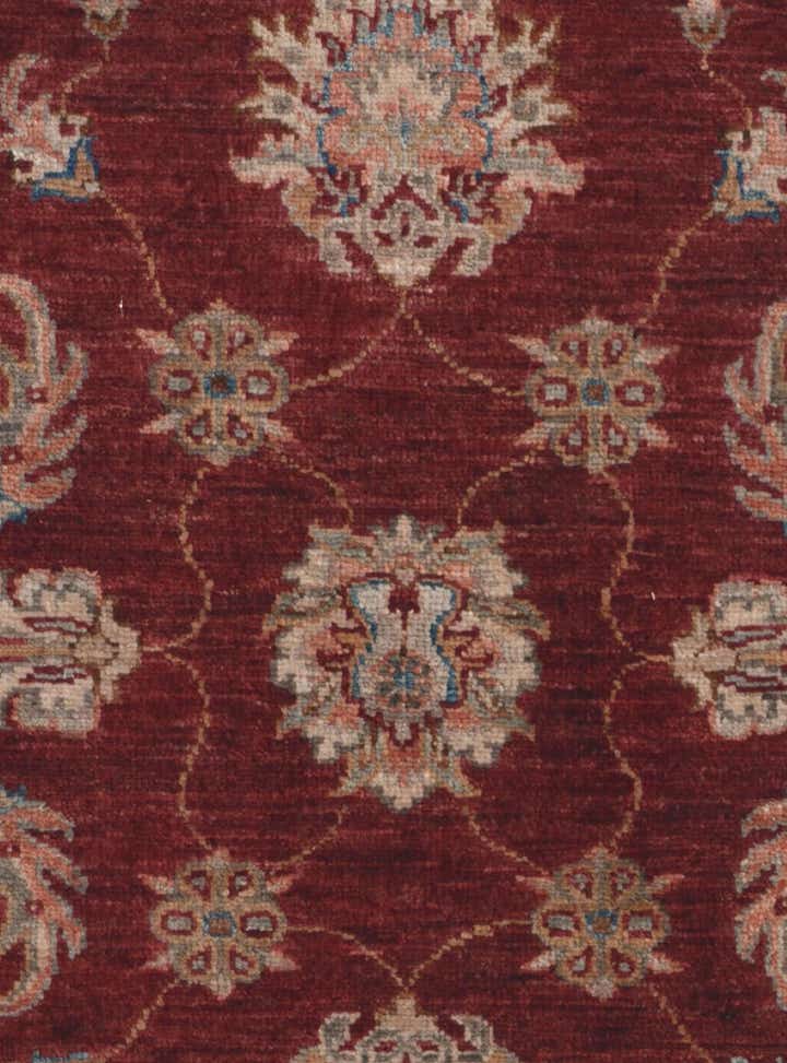 2' 10 x 6' 8 Hand Knotted Ariana Ziegler Runner Rug