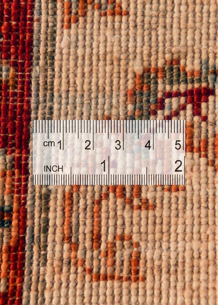 2' 2 x 6' 1 Hand Knotted Peshawar Ziegler Runner Rug