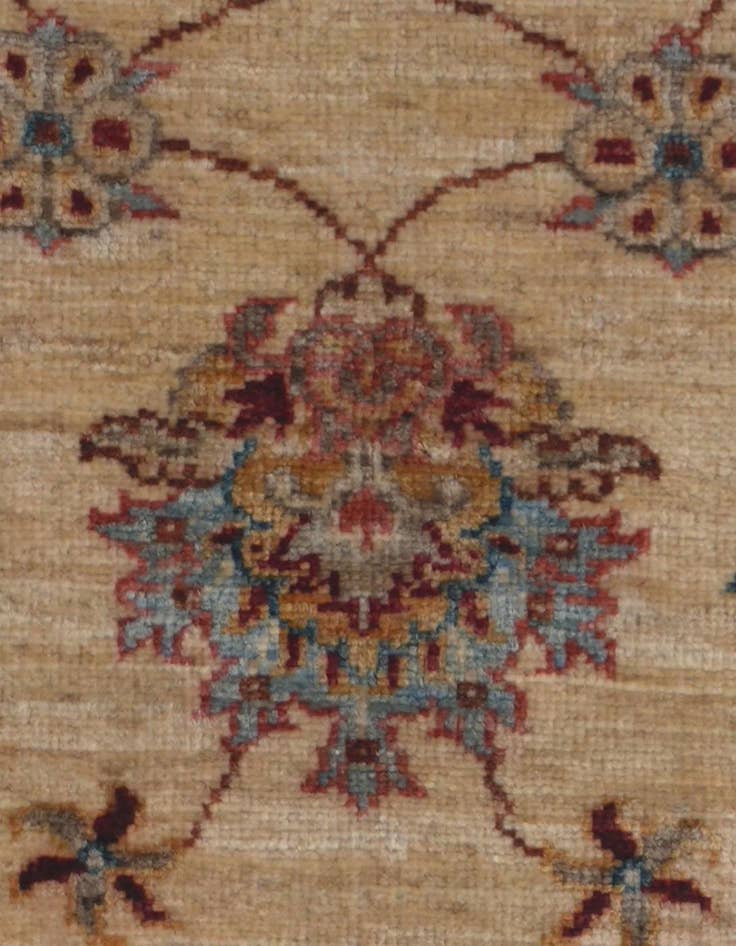 Detail image of 2' 2 x 6' 1 Hand Knotted Peshawar Ziegler Runner Rug