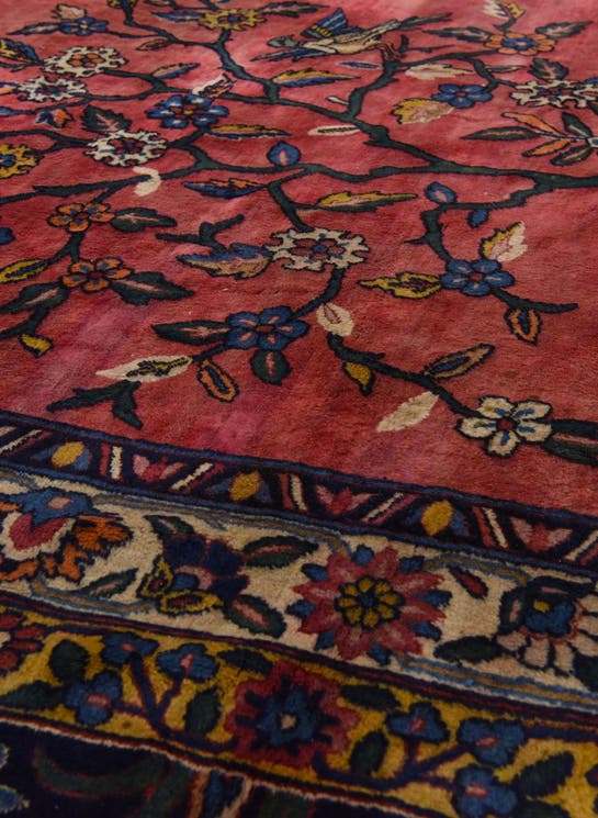 Additional image
