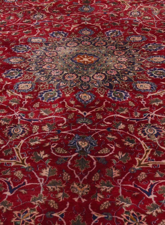 Additional image