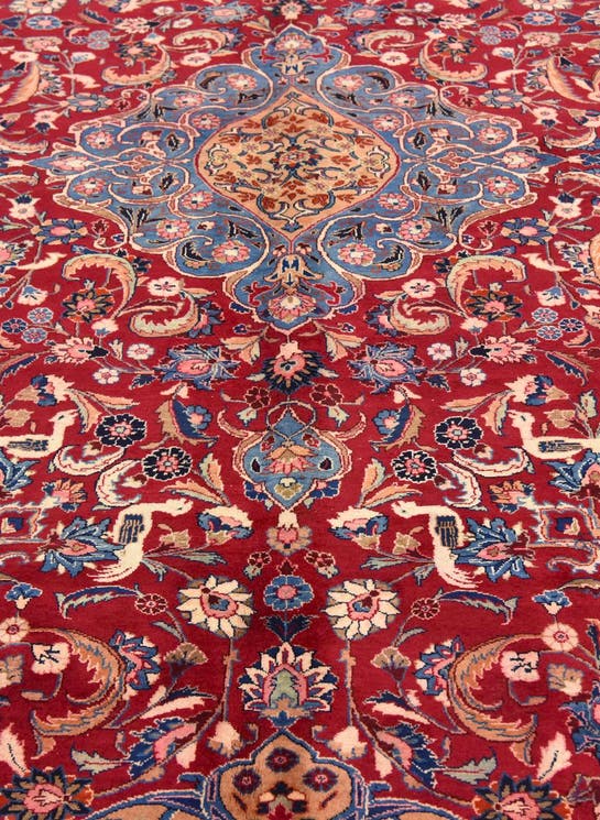 Additional image