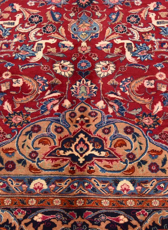 Additional image