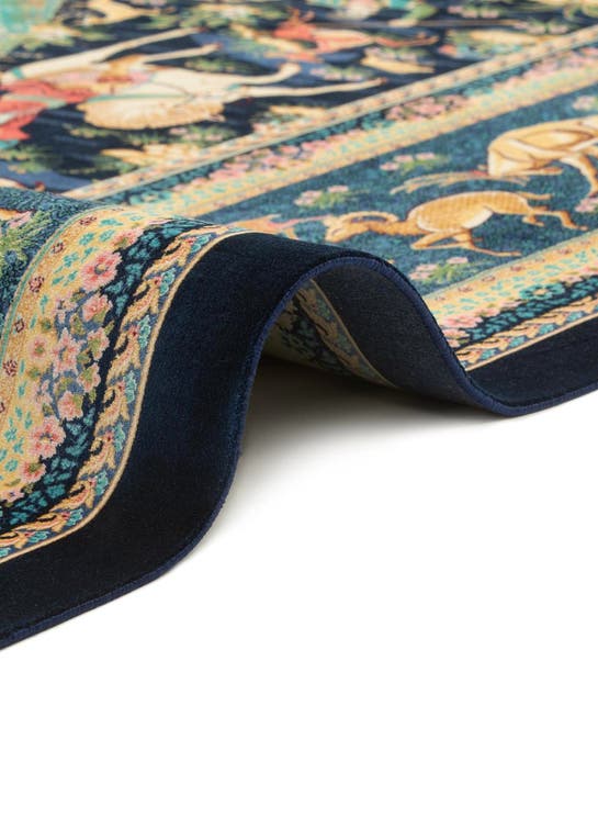 Additional image