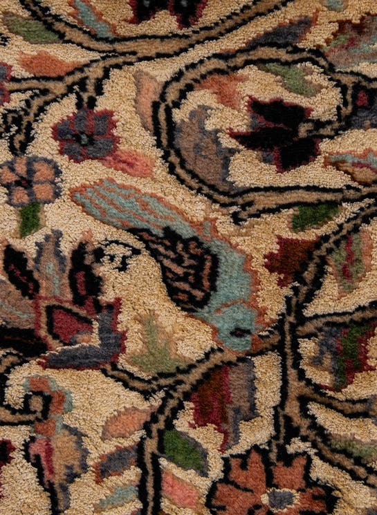 Additional image