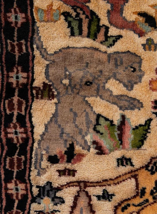 Additional image