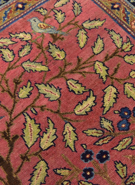 Additional image