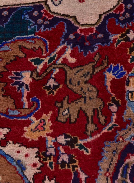 Additional image