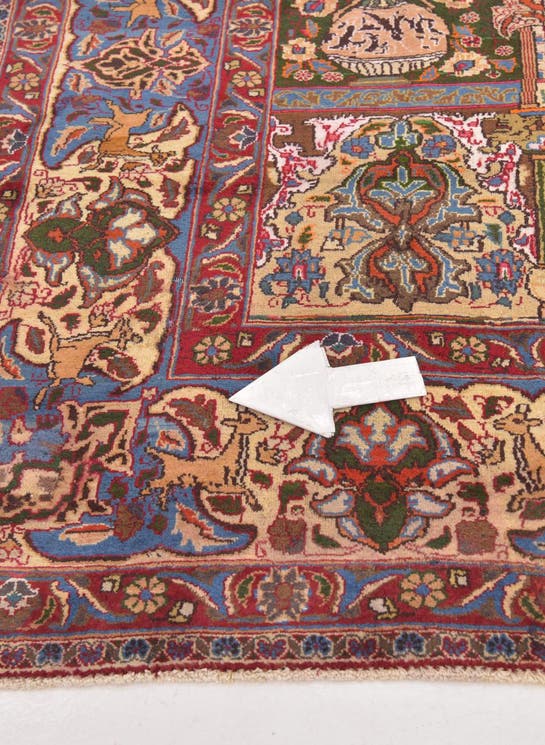 Additional image