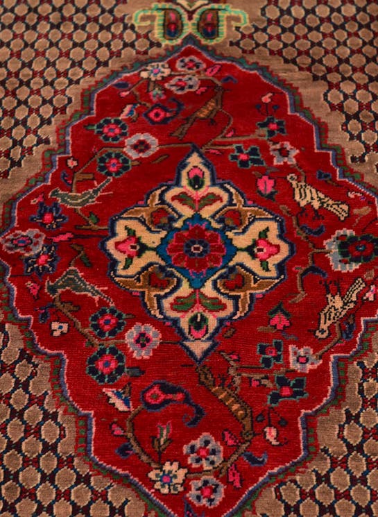 Additional image