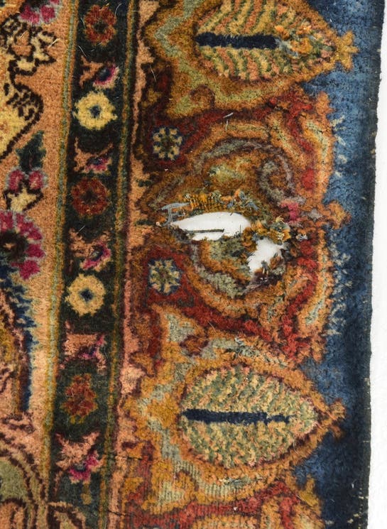Additional image