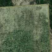 250cm x 358cm Ultra Vintage Persian Rug thumbnail