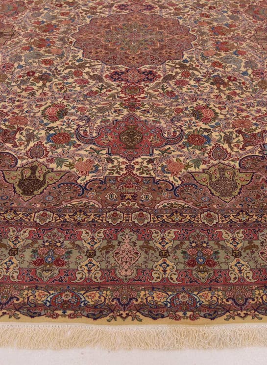 Additional image
