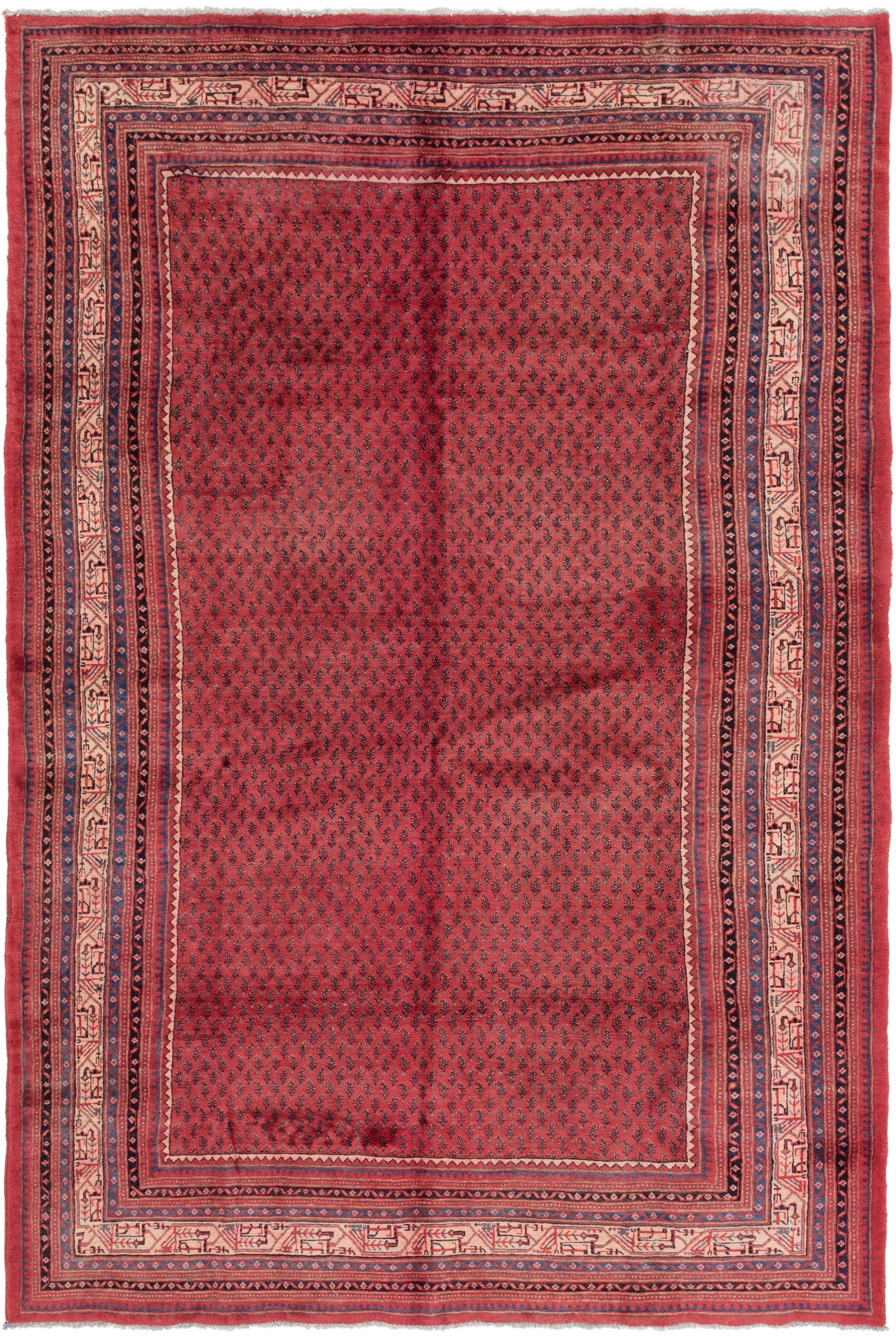 225cm x 335cm Botemir Persian Rug