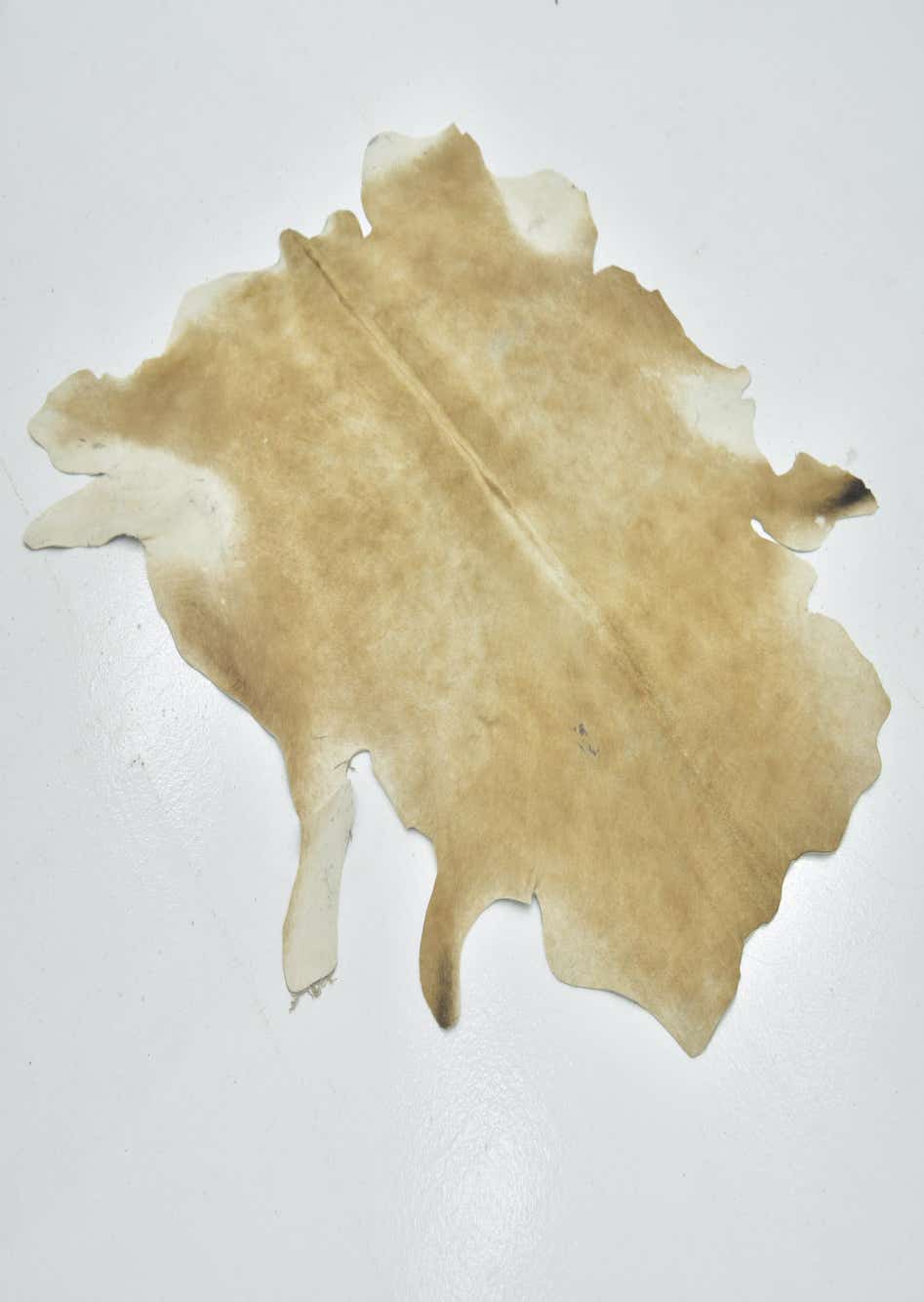 Beige 5' 3 x 5' 7 Cowhide Square Rug