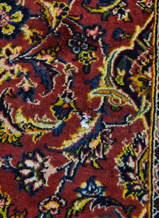 Additional image