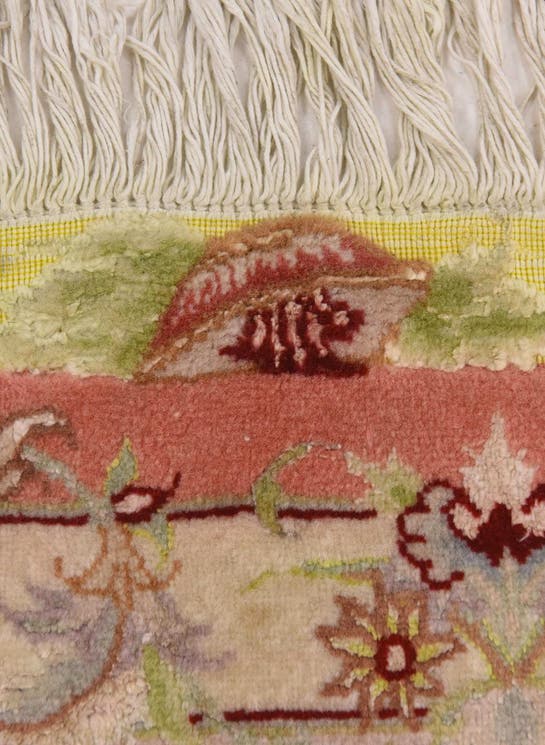 Additional image