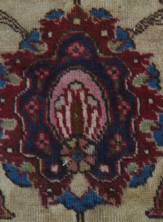 Additional image