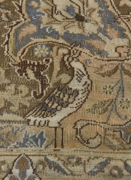 Additional image