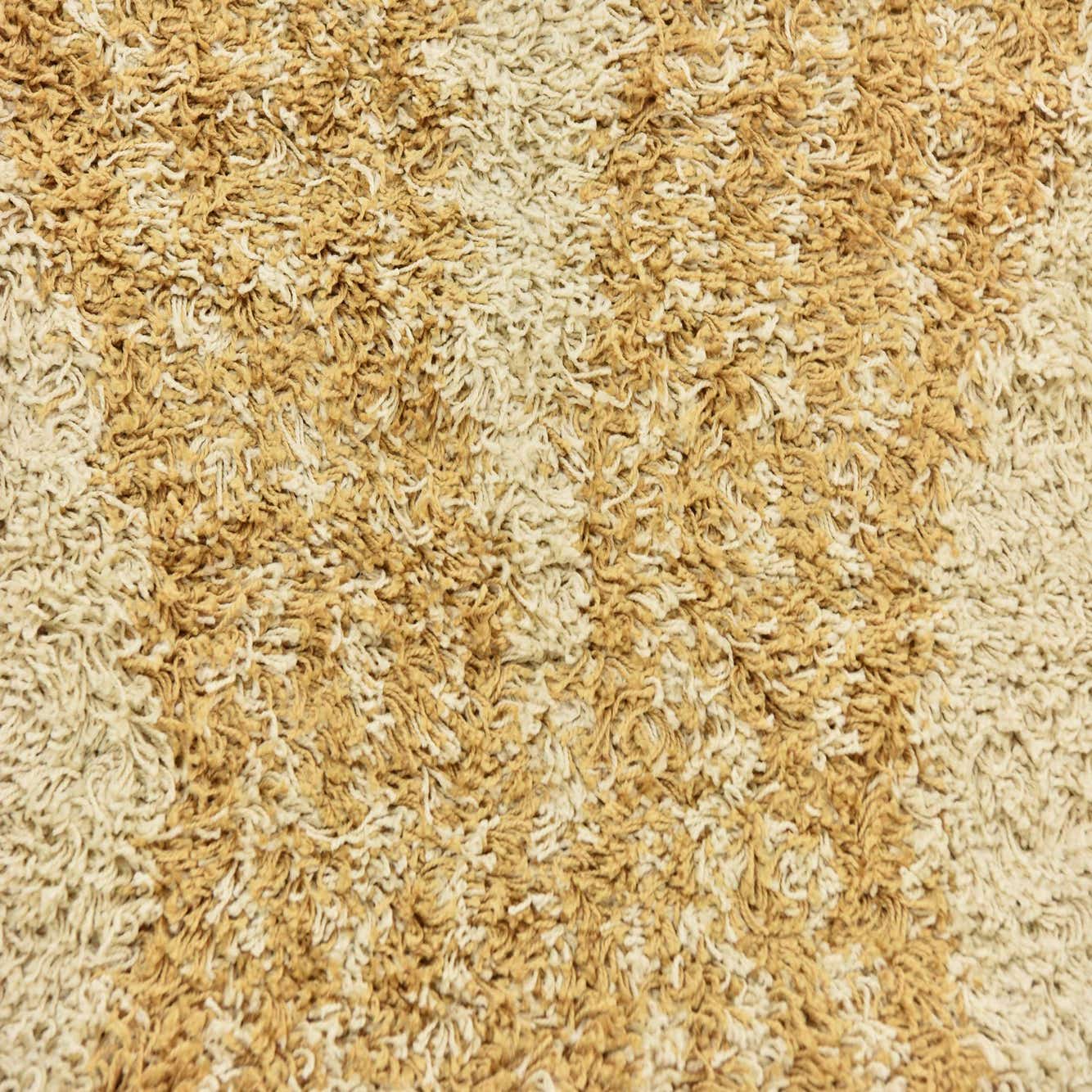 Handwoven Multi-Tone 2” Shag Rug 4 x 6