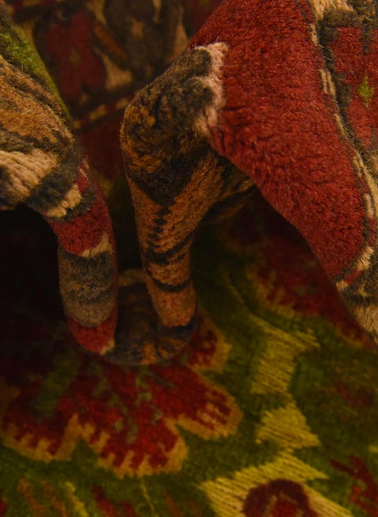 Additional image