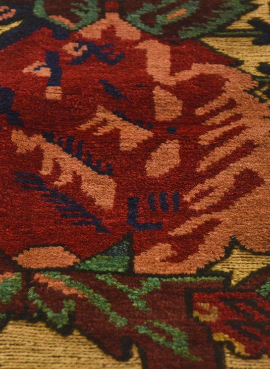 Additional image
