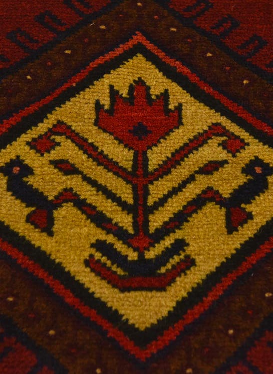 Additional image