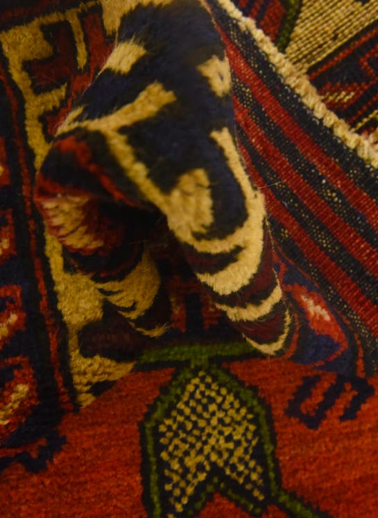 Additional image
