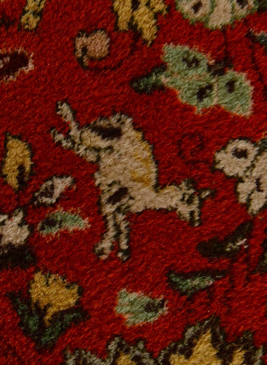 Additional image
