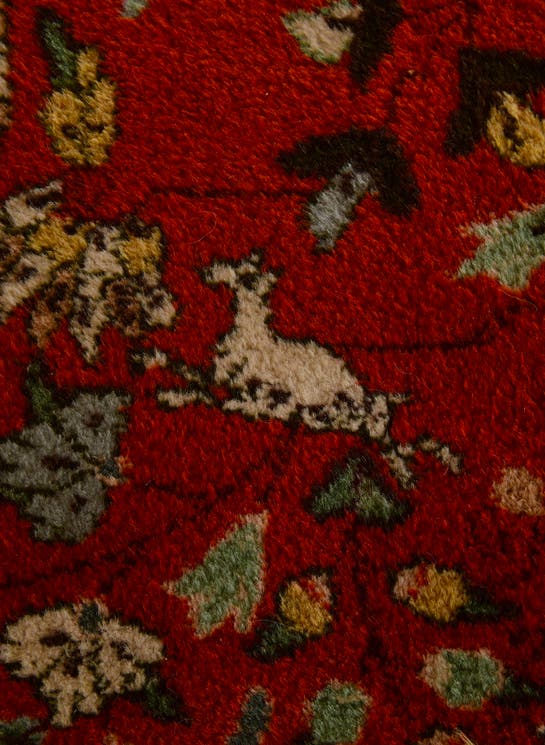 Additional image