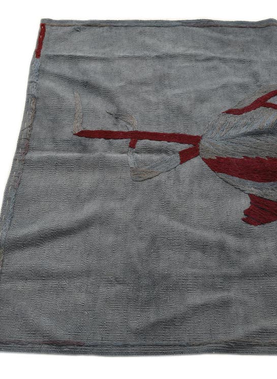 Additional image