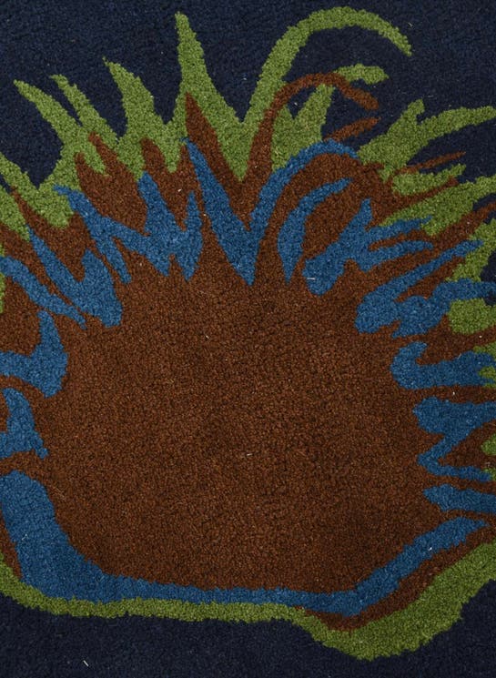 Additional image