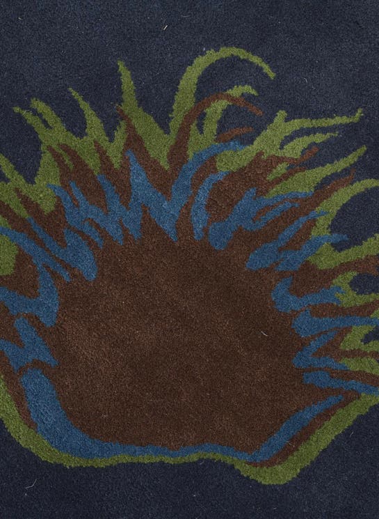Additional image
