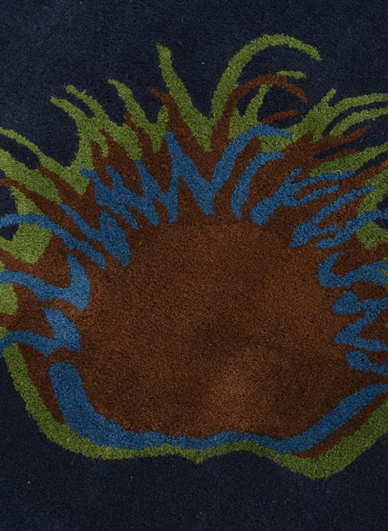 Additional image
